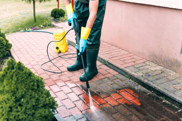 Animal Enclosure Cleaning in Desert Palms, CA